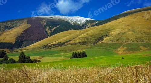 Preview: Summertime in South Island; New Zealand
