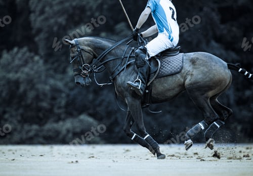 Preview: Stylized edit of a male polo player mid-game at Kirtlington Park, Oxfordshire