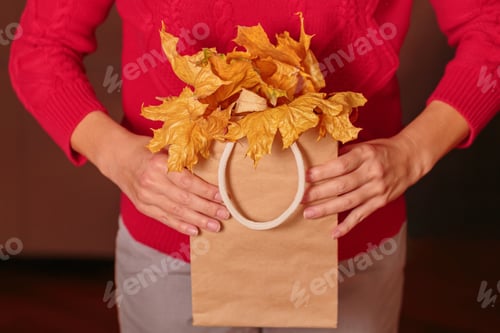 Preview: Woman in red sweater holding paper shopping bag with dried yellow leaves