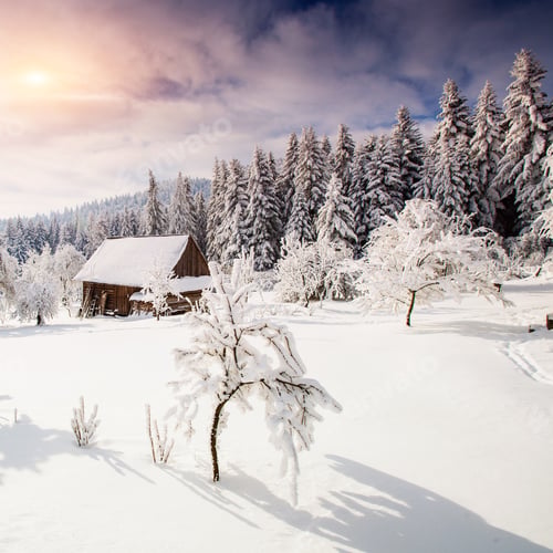 Preview: beautiful wooden house