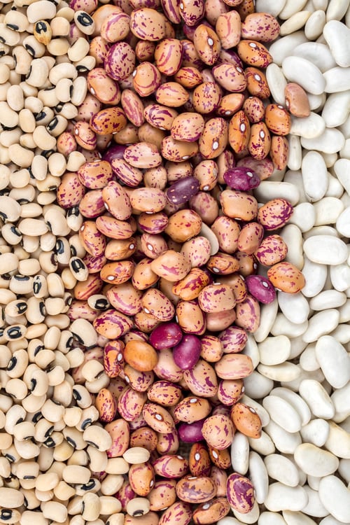 Preview: Mixture of dry beans isolated on white background