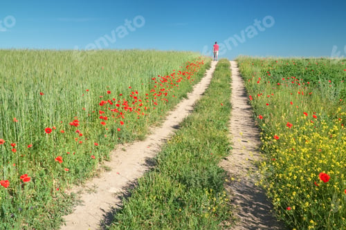 Preview: Man walking in green meadow
