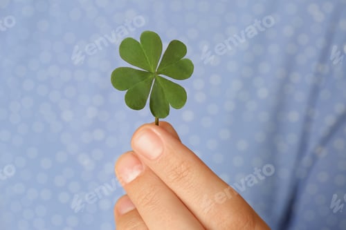 Preview: Woman holding green four leaf clover in hand, closeup