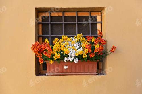 Preview: Flowers in a pot