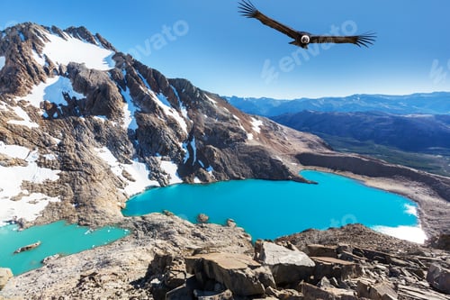 Preview: Condor in Patagonia