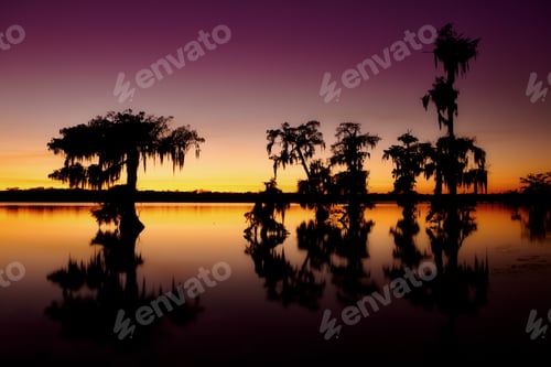 Preview: Silhouette shot of trees at sunset in Cypress swamps in the USA