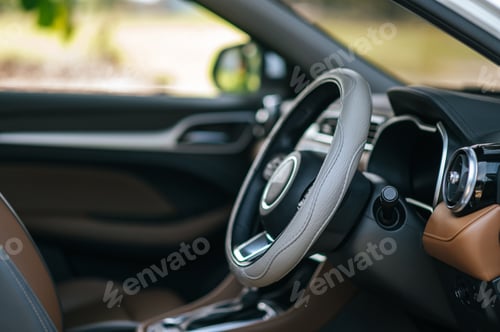 Preview: steering wheel in the car