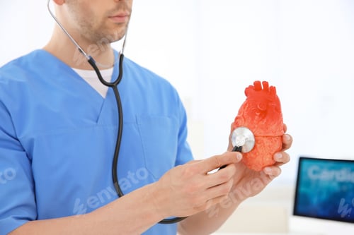 Preview: Male doctor with heart model and stethoscope in clinic. Cardiology center