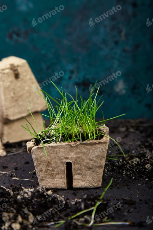 Preview: Peat pots with young seedlings, grass on a brown background.