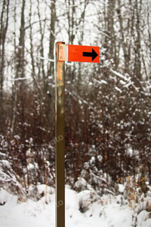 Preview: An orange trail marker sign along a hiking path