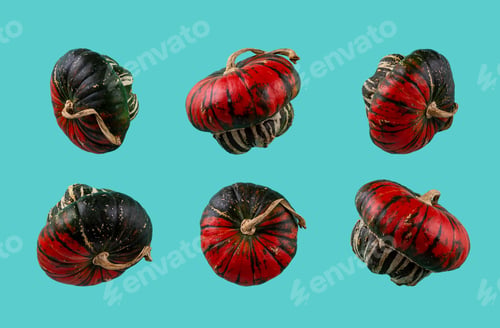 Preview: Pumpkin isolated on color background.