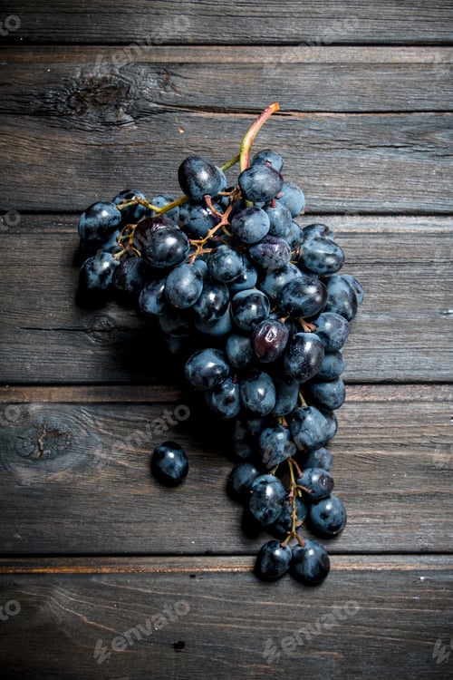 Preview: Branch of black grapes.