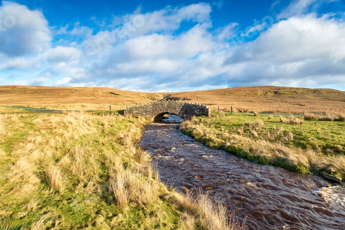Preview: The Arkle Beck