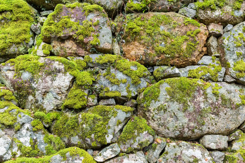 Preview: Brick wall with moss