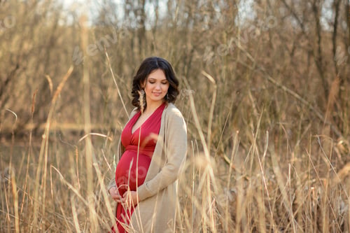 Preview: beautiful caucasian pregnant girl in nature in summer