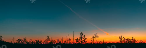 Preview: Berezinsky, Biosphere Reserve, Belarus. Autumn Dawn Landscape With Marsh Swamp During Sunset. Dark