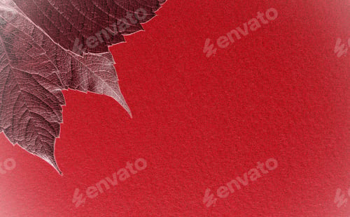 Preview: Autumn Leaves Lie On Bright Paper Background Image