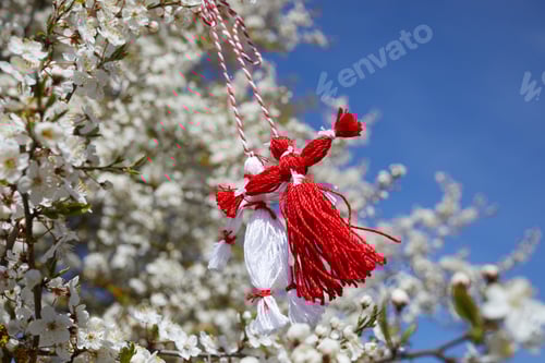 Preview: Bulgarian traditional spring decor martenitsa on the blossom tree. Baba Marta holiday.