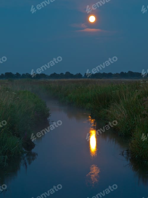 Preview: creek in countryside