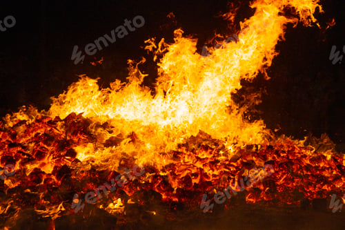 Preview: Fire by night. Flames and embers. Hot and inferno