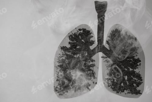 Preview: Image of human lungs damaged by tobacco and cigarette smoking. No tobacco day.