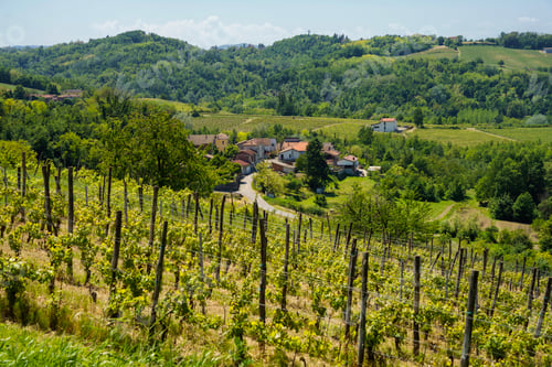 Preview: Rural landscape in Monferrato near Rivalta Bormida at May