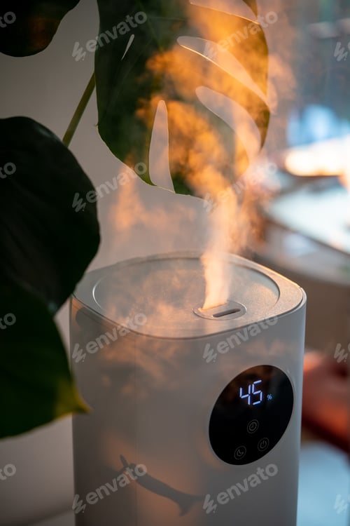 Preview: Modern humidifier at home, moistens dry air surrounded by indoor plant. Apartment with moisturizer.