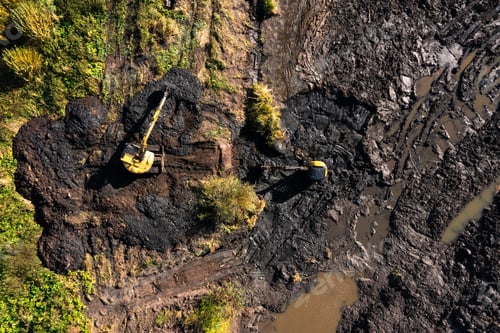 Preview: Crawler excavators cleans the pond of silt and algae. Earthworks service, cleaning of water bodies