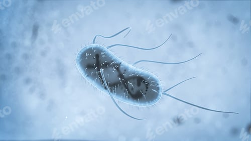Vista previa: 3d Escherichia Coli (E. Coli.) cells or bacteria under microscope. 3d illustration