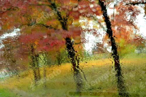 Preview: Autumn Colors as seen through a raindrops on window on a damp, wet, chilly, rainy autumn day