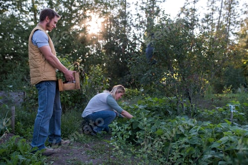 Preview: Woman picking crops on farm, man holding crate of crops