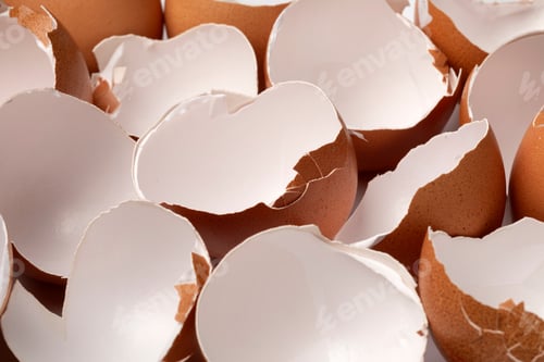 Preview: Brown empty egg shells close up full frame