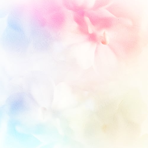 Preview: Vivid Color Roses Flower In Soft And Blur Style On Mulberry Paper Texture