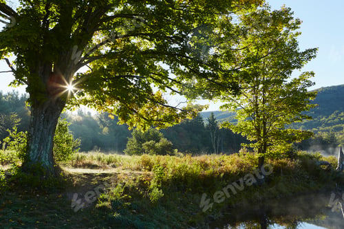 Preview: Scenic view, Colgate Lake Wild Forest, Catskill Park, New York State, USA