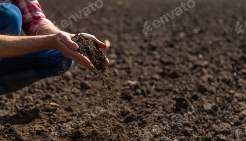 Preview: Male farmer in the field checks the soil. Selective focus.
