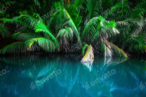 Preview: Fantasy landscape of tropical lake