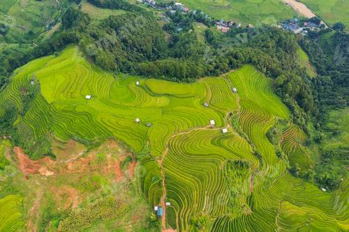 Preview: Paddy rice terraces, green agricultural fields in countryside of mountain hills valley, Vietnam.