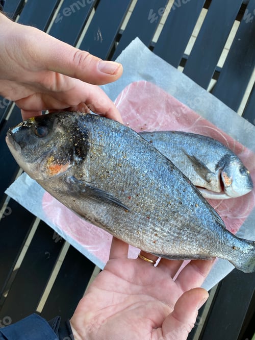 Preview: Sea bream, fresh, ready to cook