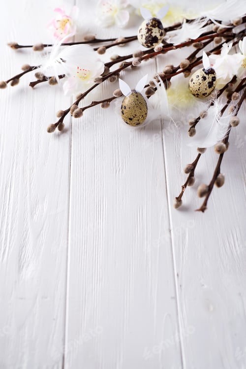 Preview: Easter quail eggs with hare ears and willow branch