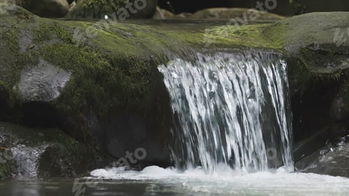 Preview: Close-up of small waterfall in forest stone river. Creative. Beautiful stream of small cascade of