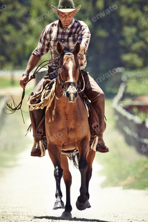 Preview: Ride em cowboy. Shot of a cowboy riding a horse.