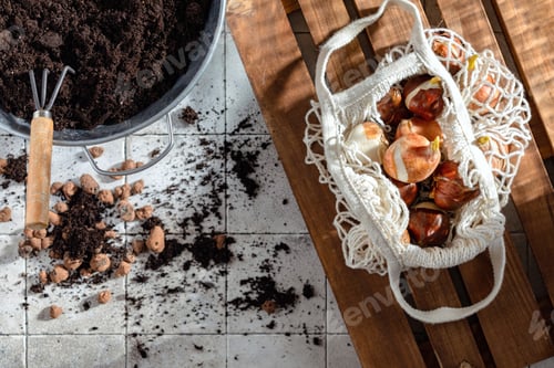 Preview: tulip bulbs in eco bag, spring, ready for planting