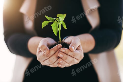 Preview: Started from the ground up. Cropped shot of a businesswoman holding a plant.