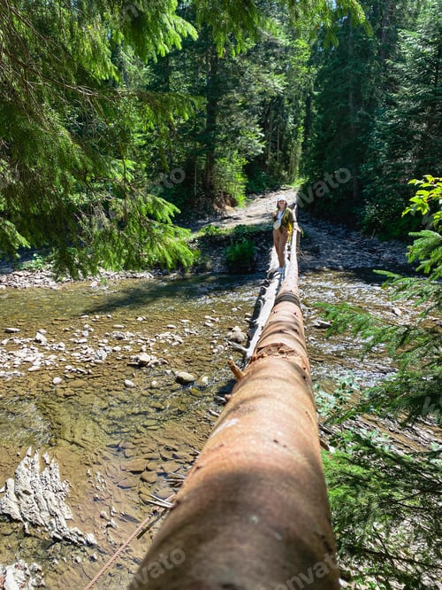 Preview: Woman standing on fallen tree in Carpathian forest stream