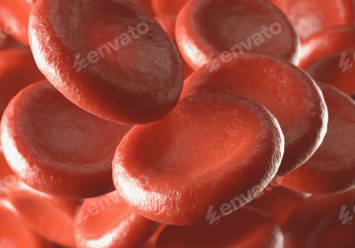 Preview: Red Blood Cells