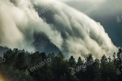 Preview: Rolling Clouds Create a Dramatic Landscape Over a Forest at Twilight