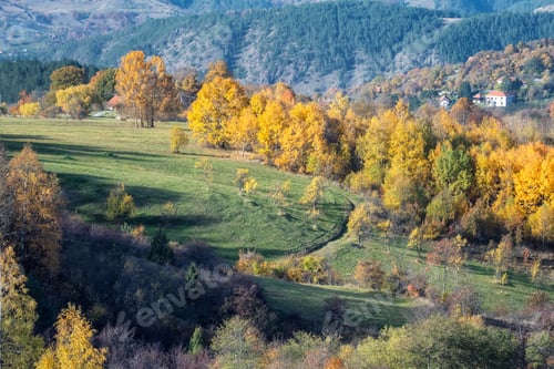Preview: Colorful view of an autumn mountain