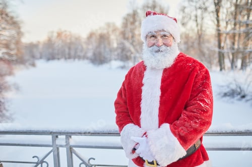Preview: Classic Santa Claus in Winter