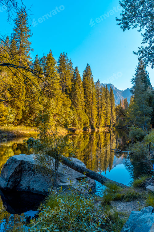 Preview: Beautiful walk to walk in Yosemite valley and the reflected trees. California