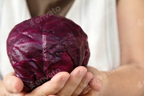 Vorschau: Hand hält Rotkohl